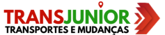 TRANSJUNIOR - logo